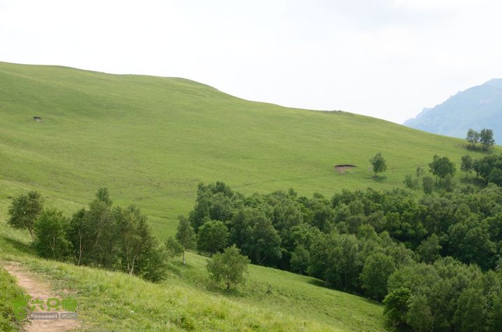 2014-06-14 塔尔寺村-北灵-柏峪20140614-133919