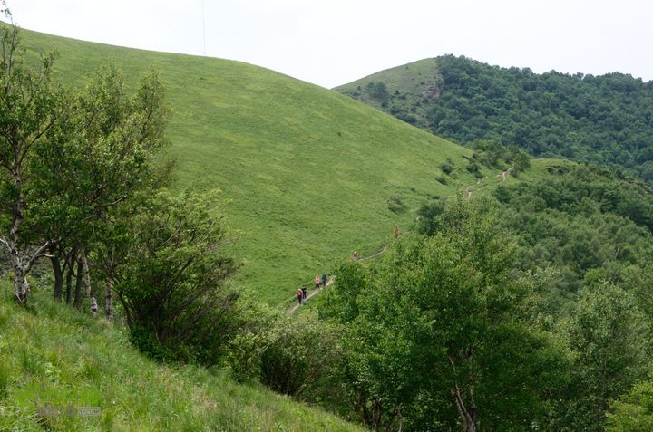 2014-06-14 塔尔寺村-北灵-柏峪20140614-135336