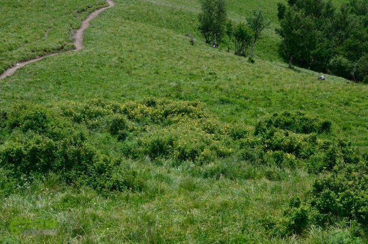 2014-06-14 塔尔寺村-北灵-柏峪20140614-140729