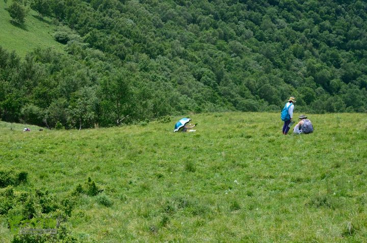 2014-06-14 塔尔寺村-北灵-柏峪20140614-140748