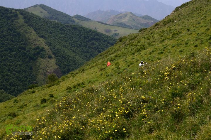 2014-06-14 塔尔寺村-北灵-柏峪20140614-141033