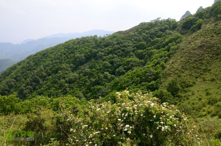 2014-06-14 塔尔寺村-北灵-柏峪20140614-151627