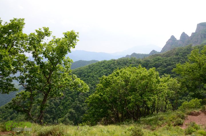 2014-06-14 塔尔寺村-北灵-柏峪20140614-151756