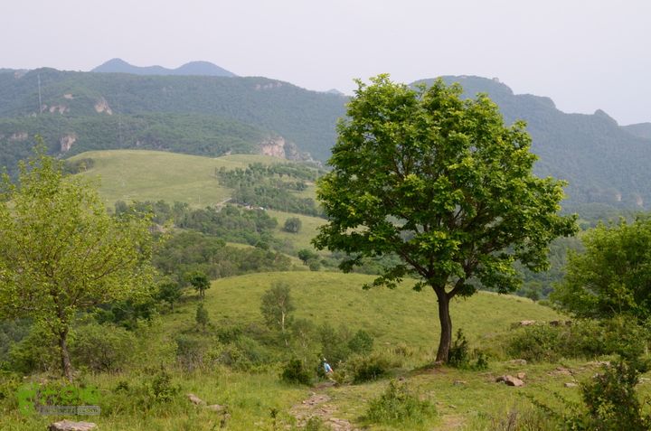 2014-06-14 塔尔寺村-北灵-柏峪20140614-153045