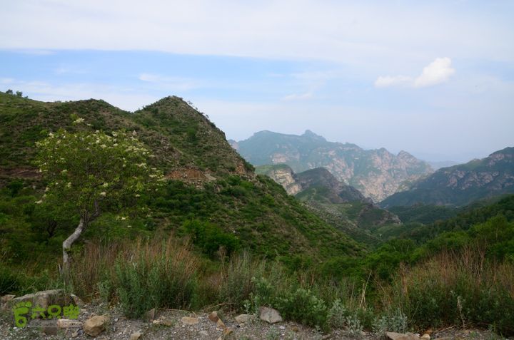 2014-06-14 塔尔寺村-北灵-柏峪20140614-153812