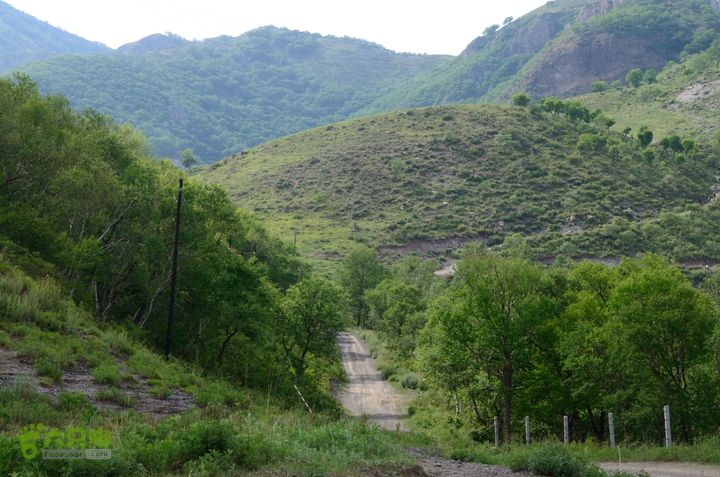 2014-06-14 塔尔寺村-北灵-柏峪20140614-154151