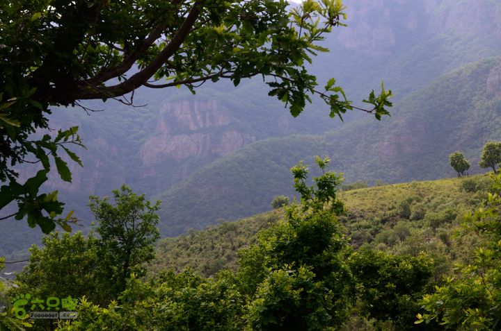 2014-06-14 塔尔寺村-北灵-柏峪20140614-154428