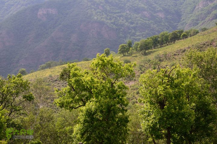 2014-06-14 塔尔寺村-北灵-柏峪20140614-154536