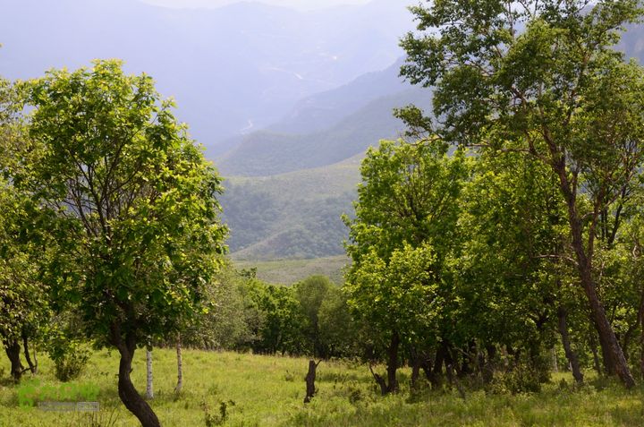 2014-06-14 塔尔寺村-北灵-柏峪20140614-154551