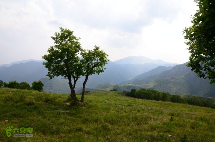 2014-06-14 塔尔寺村-北灵-柏峪20140614-154716