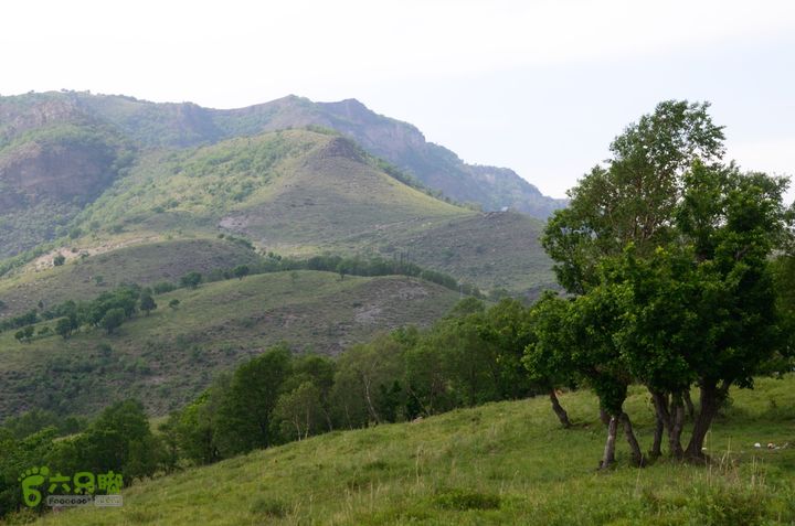 2014-06-14 塔尔寺村-北灵-柏峪20140614-155307