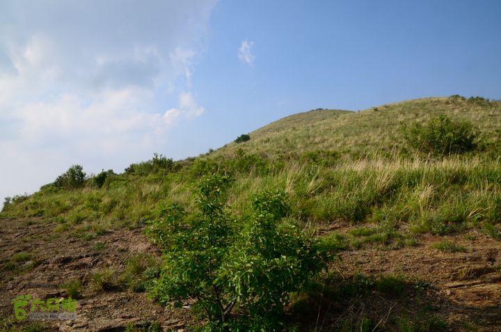 2014-06-14 塔尔寺村-北灵-柏峪20140614-170940