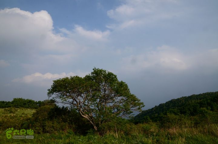 2014-06-14 塔尔寺村-北灵-柏峪20140614-171138