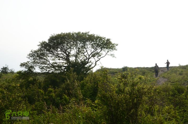 2014-06-14 塔尔寺村-北灵-柏峪20140614-171238