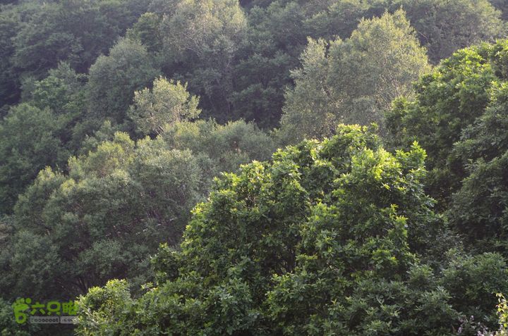 2014-06-14 塔尔寺村-北灵-柏峪20140614-171842