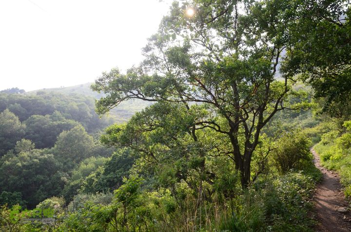 2014-06-14 塔尔寺村-北灵-柏峪20140614-171917