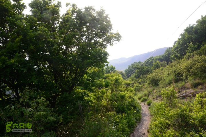 2014-06-14 塔尔寺村-北灵-柏峪20140614-172102