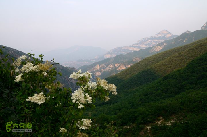 2014-06-14 塔尔寺村-北灵-柏峪20140614-181222