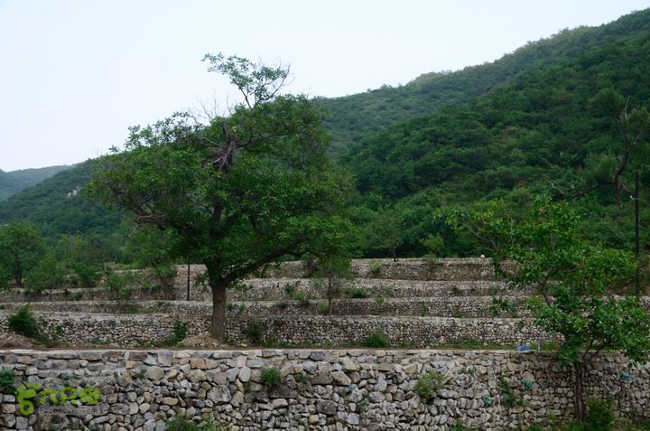 2014-06-14 塔尔寺村-北灵-柏峪20140614-183336