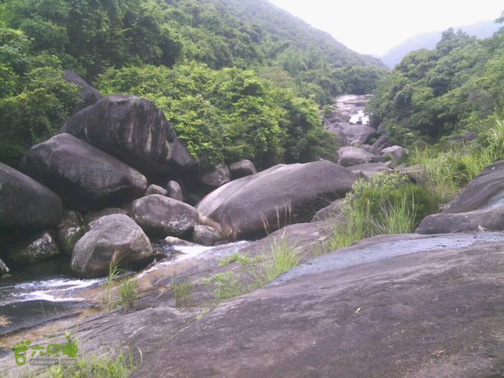 大清坑2014-06-15 10:59:01