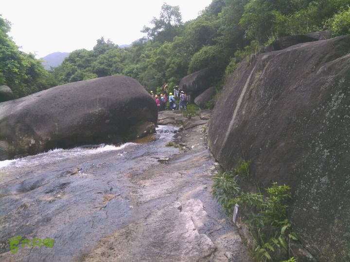 大清坑另一队人马。2014-06-15 11:26:24