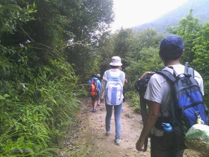 大清坑往回走。2014-06-15 13:52:24