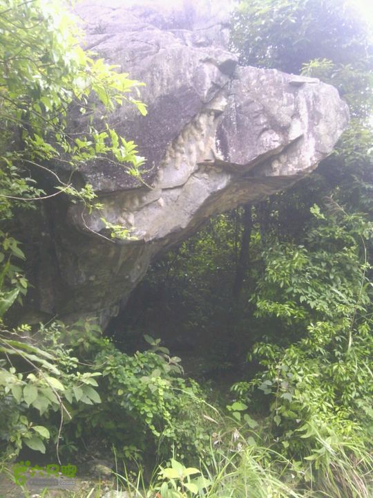 大清坑2014-06-15 13:55:08