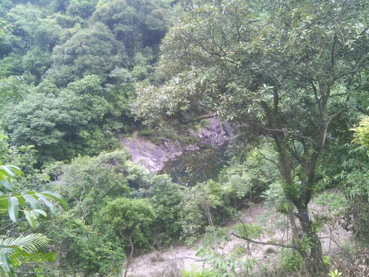 大清坑2014-06-15 14:10:50