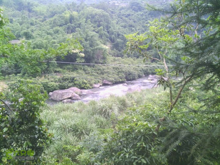 大清坑2014-06-15 14:23:11