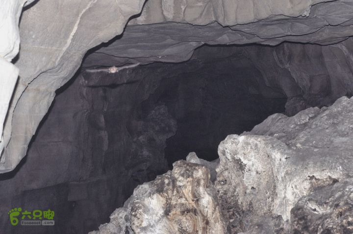 黄连村-蝙蝠洞-胡林古村DSC_0136