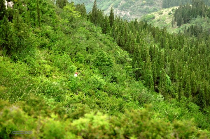 黄连村-蝙蝠洞-胡林古村DSC_0219