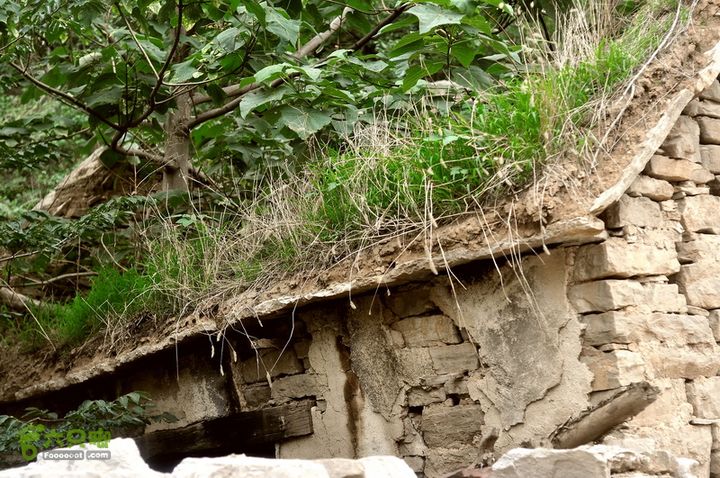 黄连村-蝙蝠洞-胡林古村DSC_0254