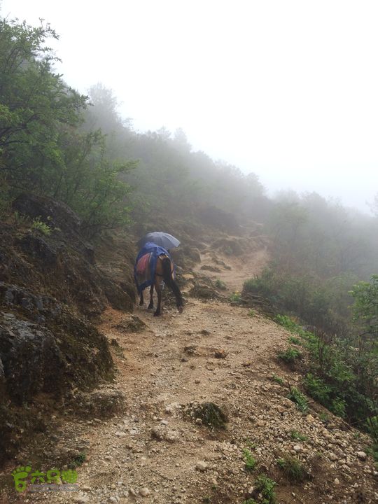 玉龙雪山_雪嵩村(玉湖村)_流沙坡_雪山大峡谷_扇子陡IMG_2988