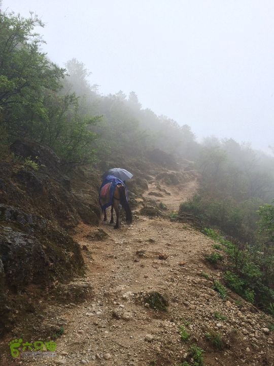 玉龙雪山_雪嵩村(玉湖村)_流沙坡_雪山大峡谷_扇子陡IMG_2989