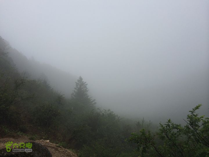 玉龙雪山_雪嵩村(玉湖村)_流沙坡_雪山大峡谷_扇子陡IMG_2990