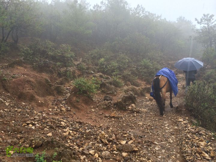 玉龙雪山_雪嵩村(玉湖村)_流沙坡_雪山大峡谷_扇子陡IMG_2995