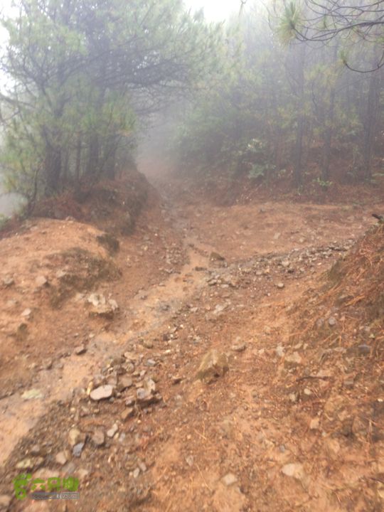 玉龙雪山_雪嵩村(玉湖村)_流沙坡_雪山大峡谷_扇子陡IMG_3012