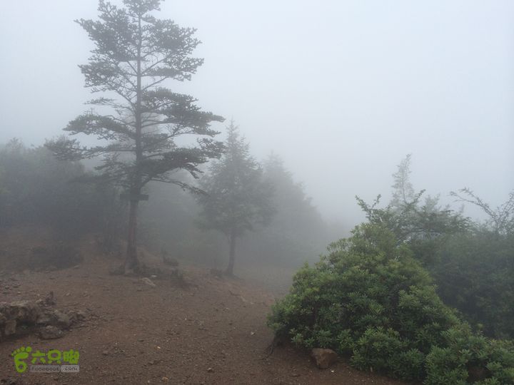 玉龙雪山_雪嵩村(玉湖村)_流沙坡_雪山大峡谷_扇子陡IMG_3018