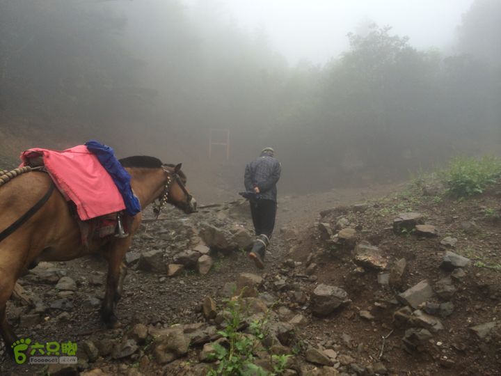 玉龙雪山_雪嵩村(玉湖村)_流沙坡_雪山大峡谷_扇子陡IMG_3026