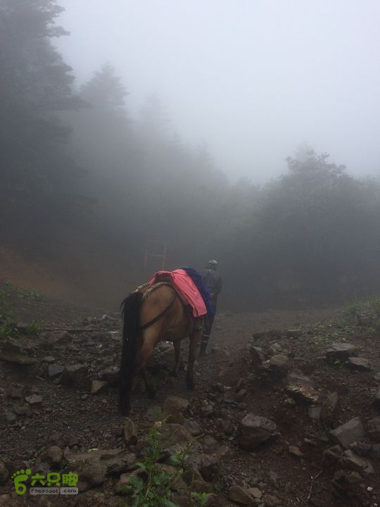 玉龙雪山_雪嵩村(玉湖村)_流沙坡_雪山大峡谷_扇子陡IMG_3027