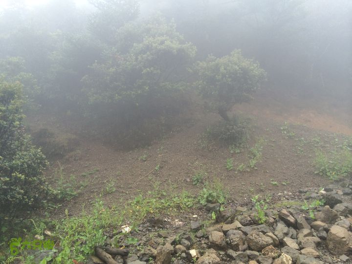 玉龙雪山_雪嵩村(玉湖村)_流沙坡_雪山大峡谷_扇子陡IMG_3028