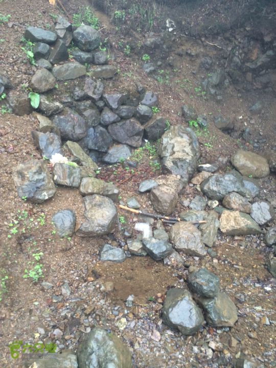 玉龙雪山_雪嵩村(玉湖村)_流沙坡_雪山大峡谷_扇子陡IMG_3032