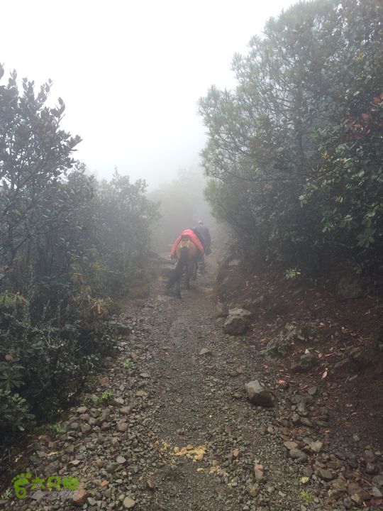 玉龙雪山_雪嵩村(玉湖村)_流沙坡_雪山大峡谷_扇子陡IMG_3046