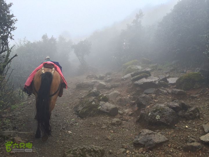 玉龙雪山_雪嵩村(玉湖村)_流沙坡_雪山大峡谷_扇子陡IMG_3049