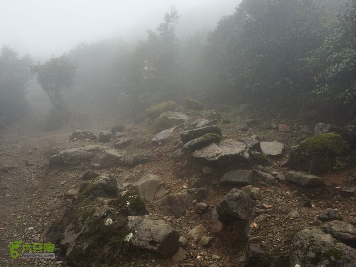 玉龙雪山_雪嵩村(玉湖村)_流沙坡_雪山大峡谷_扇子陡IMG_3050