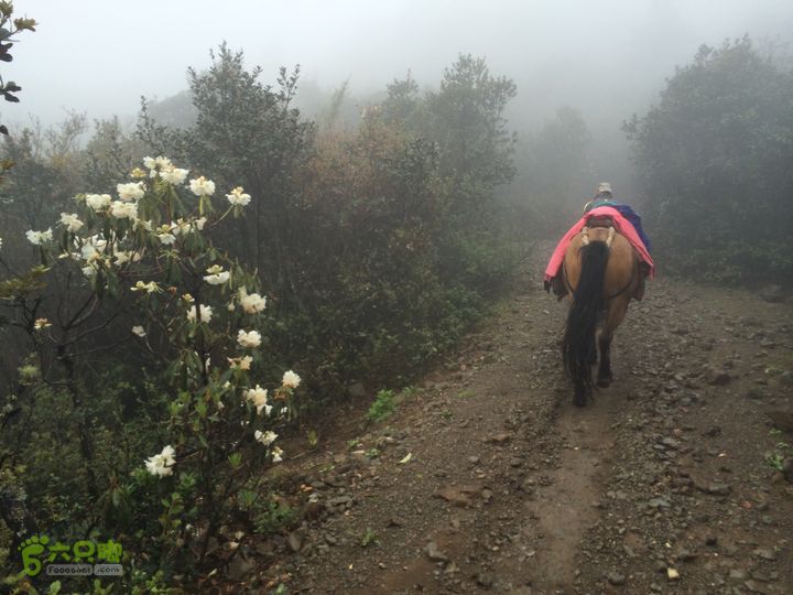 玉龙雪山_雪嵩村(玉湖村)_流沙坡_雪山大峡谷_扇子陡IMG_3057