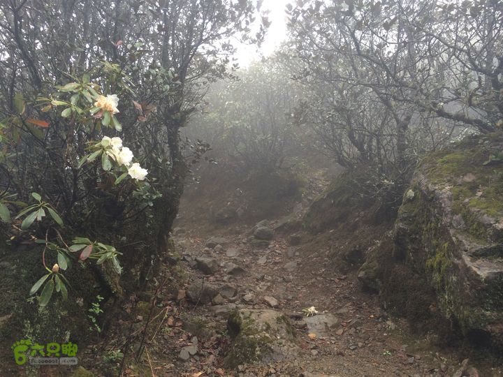 玉龙雪山_雪嵩村(玉湖村)_流沙坡_雪山大峡谷_扇子陡IMG_3059