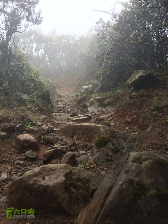 玉龙雪山_雪嵩村(玉湖村)_流沙坡_雪山大峡谷_扇子陡IMG_3062