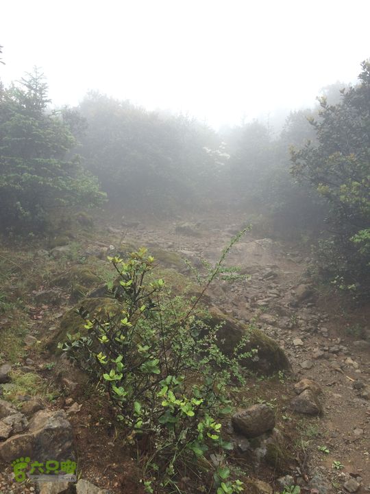 玉龙雪山_雪嵩村(玉湖村)_流沙坡_雪山大峡谷_扇子陡IMG_3063