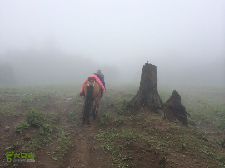 玉龙雪山_雪嵩村(玉湖村)_流沙坡_雪山大峡谷_扇子陡IMG_3064
